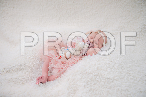 PD3_8518