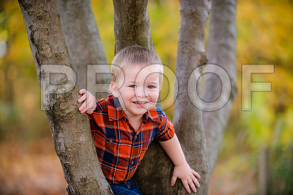 JD3_8395