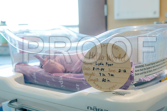 PD3_8413