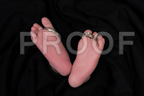 PD1_8249