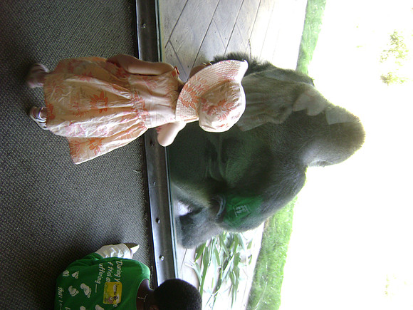 DSC02364
