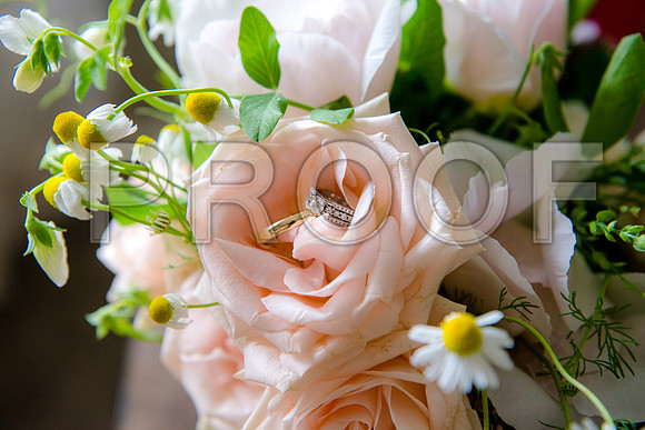 PD3_8437