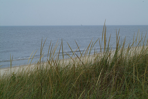 DSCF5246