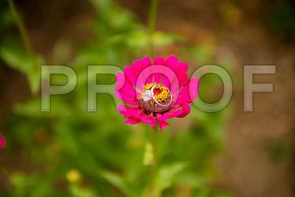PD3_8987