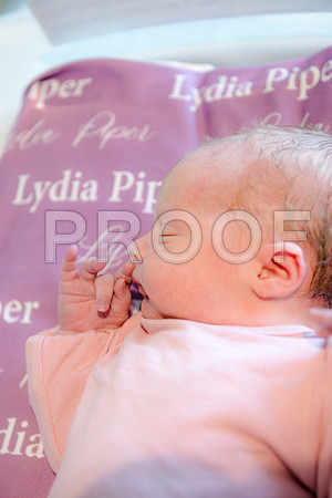 PD3_8433