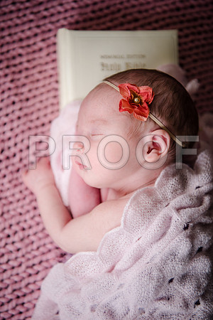 JD4_3649 (2)