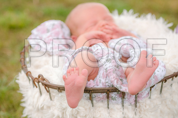 PD3_8649