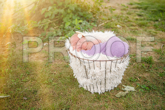 PD3_8612
