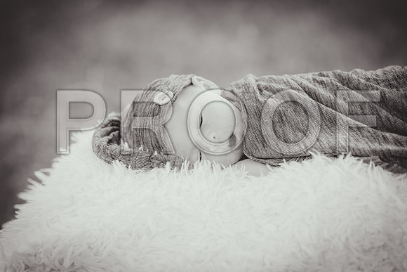 JD5_6523