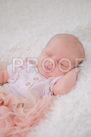 PD3_8537