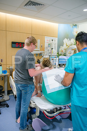 PD3_8284