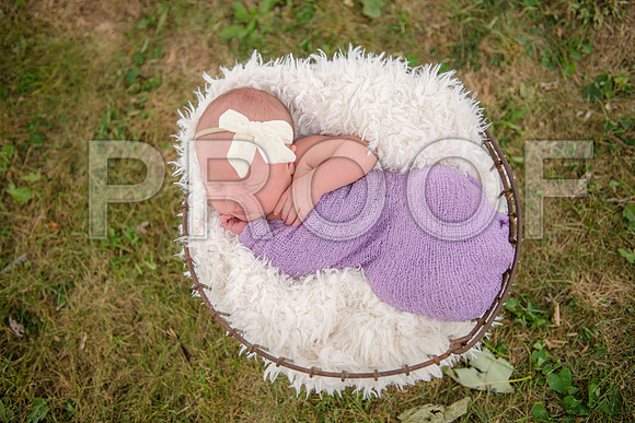 PD3_8619
