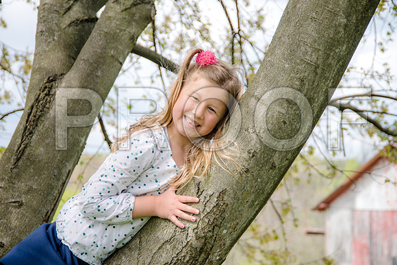 PD3_8328