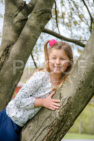 PD3_8332