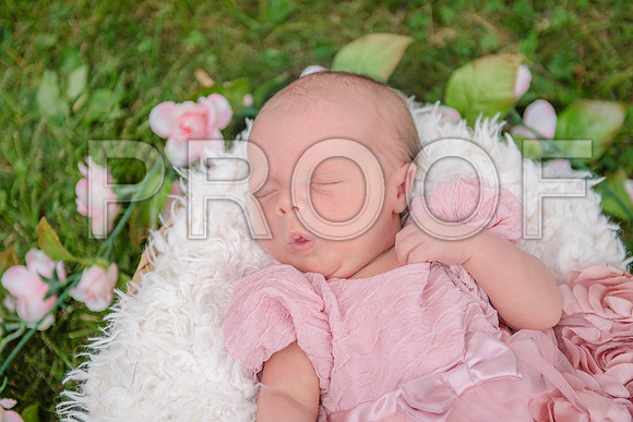 PD3_8473