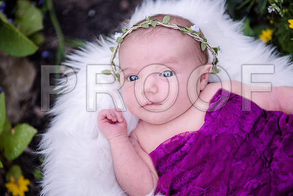 JD4_9026A
