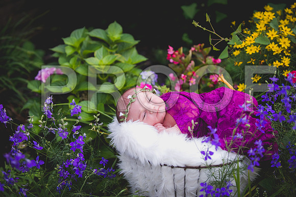 JD2_1277-2