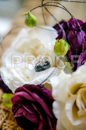 PD3_9334