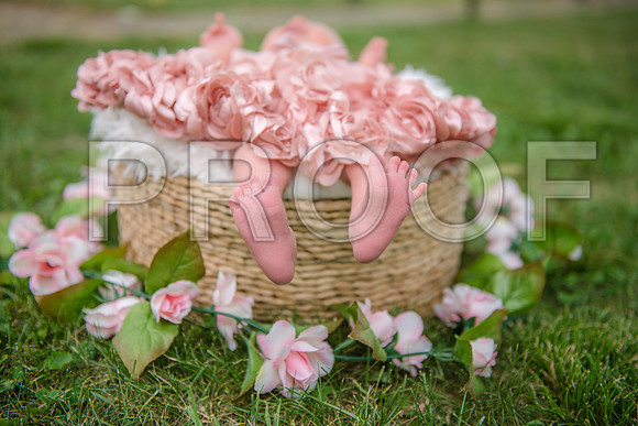 PD3_8494