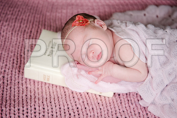 JD4_3647 (2)