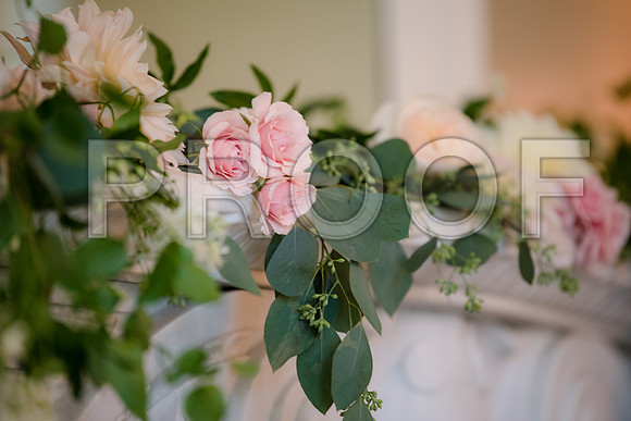 JD5_0523