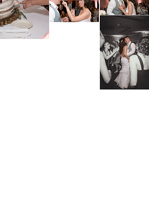 Robert n Ashley Examples C