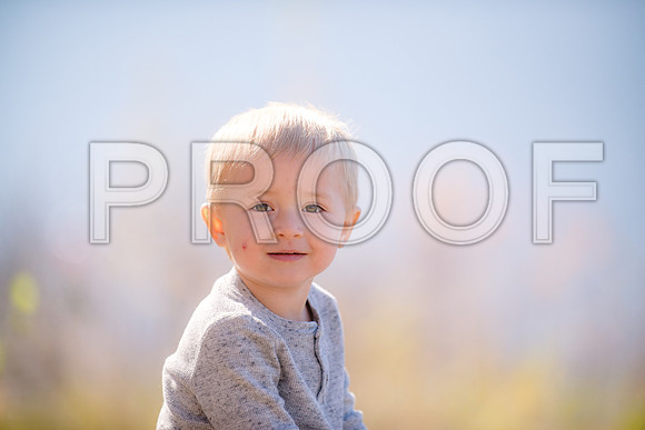 JD3_6462