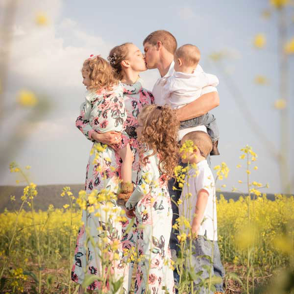 J and D studio family photo, 4 kids and parents kissing in between them in a canola field with blurry canola in the foreground in Lykens, PA